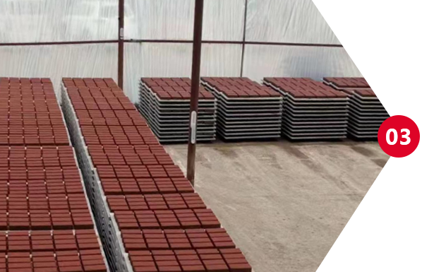 研發(fā)優(yōu)勢(shì)